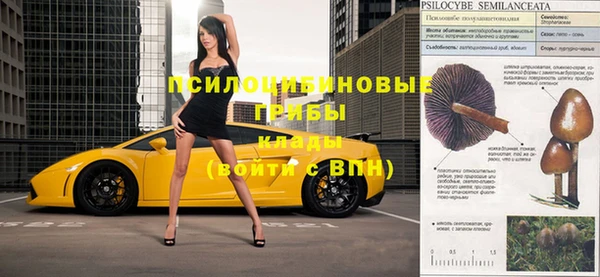 каннабис Алзамай