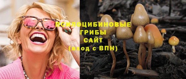 не бодяженный Абаза