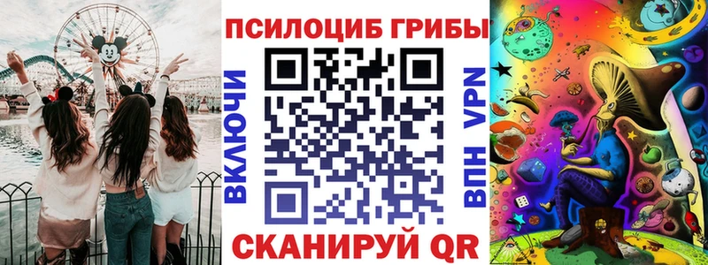 это как зайти  Новосиль  Галлюциногенные грибы мицелий 